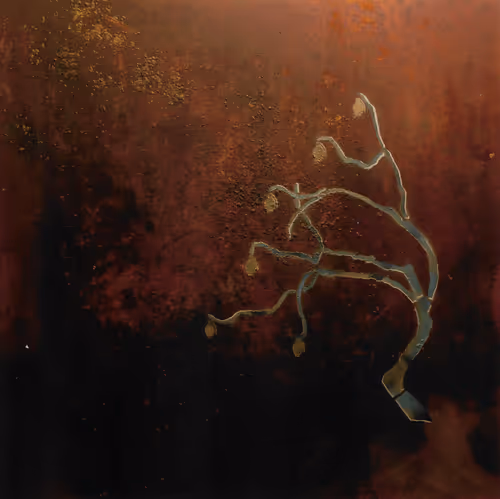 Item #23362206080031759863674021537611628681475652794224112579979904946432748027905 Media