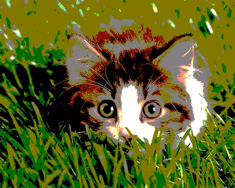 Item #23538819986925566434507765811444276093104658907602947149672917425171300614145 Media