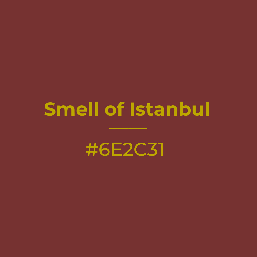 Smell of Istanbul #6e2c31