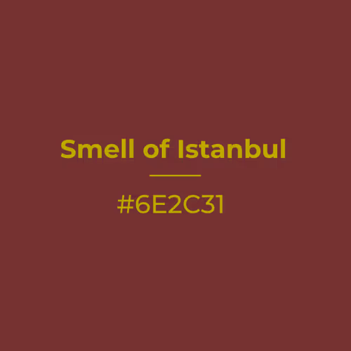 Smell of Istanbul #6e2c31