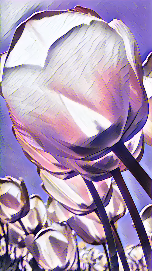 Item #93470298862735586132546396368472044818160533067218050092312674675213553631233 Media