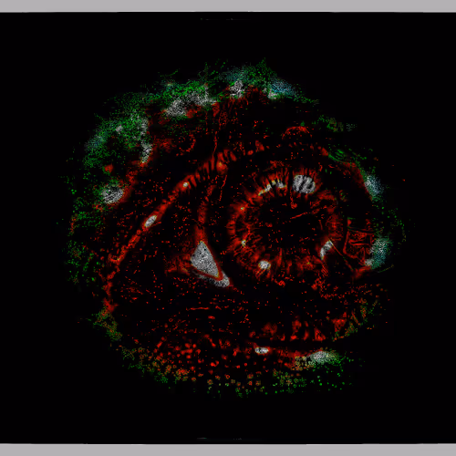 Eye #87