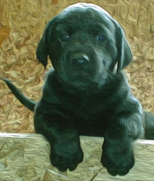 Item #95619151568614802974454947629602672965769746893472874508208249383503169323009 Media