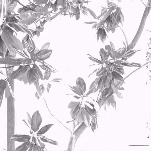 Untitled 001