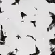 53048065266582992028737042021747286992360338577120237921785663730110041161729
