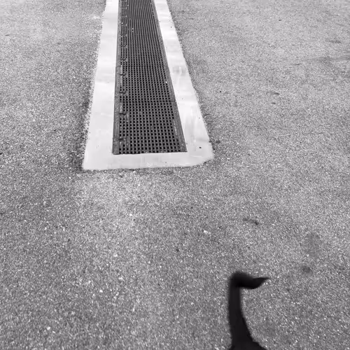 Item #56431751608181922231259635946092067407977788553703326303680802292059036712961 Media