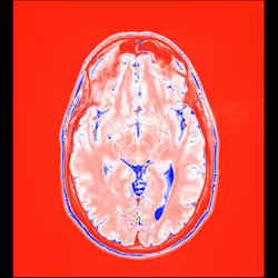 64162533542198579898252916190583583845604629893829087458582976442882878078977