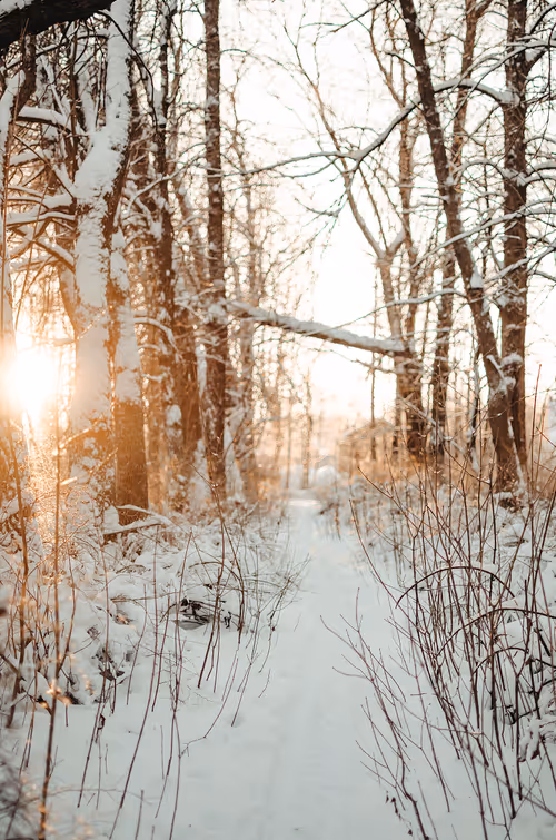 Item #89749655781633695214918973850275472722969414754438239918620403791932453552129 Media