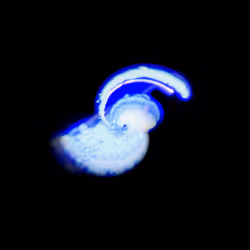 45731211464929816441170859700976373292149702980452148839612469038069028225025