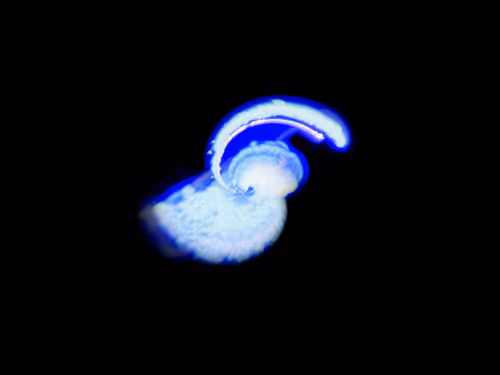 Item #45731211464929816441170859700976373292149702980452148839612469038069028225025 Media