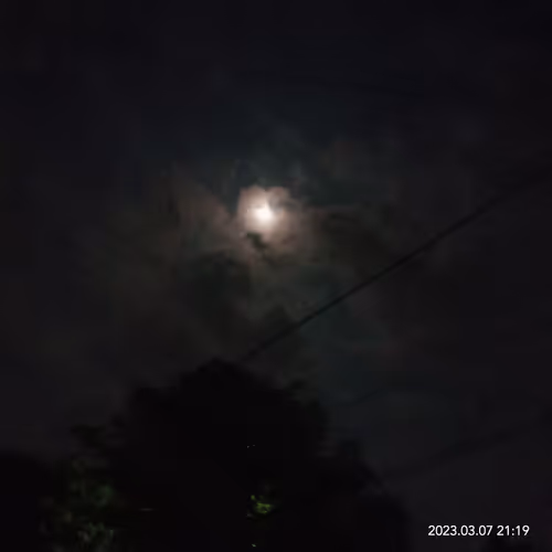 Dark Moonlight