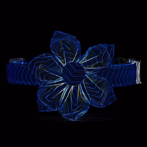 Item #70091610511292042878702066039231159687239777503764138416355142906181396201473 Media