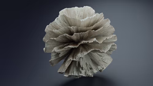 Item #54162300568103725826343189831171959365021078669884134013916714354251191549953 Media