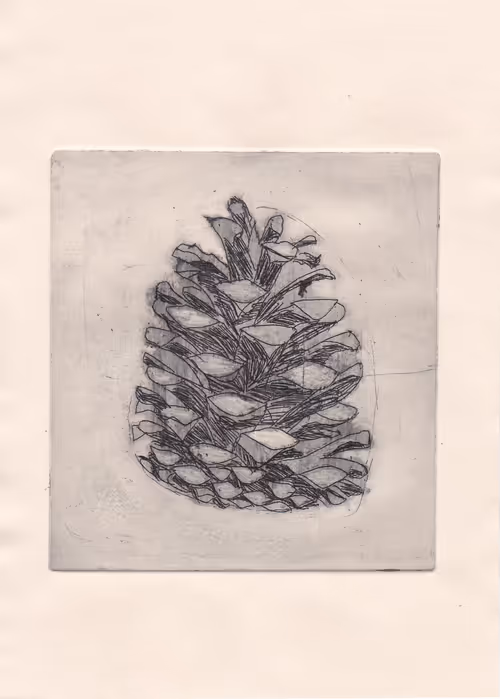 Item #33637496595992919890696792106290914567807032542888101749224150776821558804481 Media