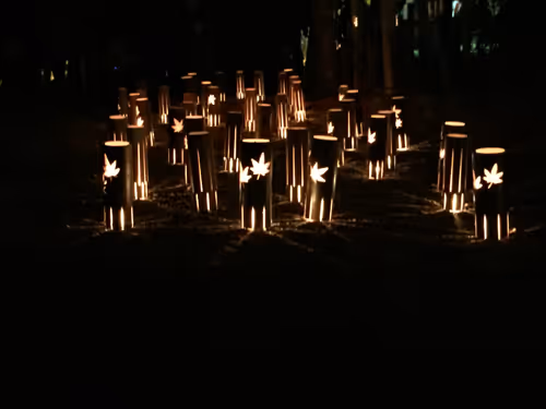 Item #21226432917160216179699714668297725626108258073525100821406135235698134876161 Media