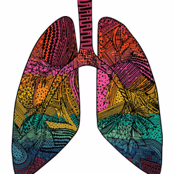 28824502245252267217549902857601847351510039266873569823091148287672737333249