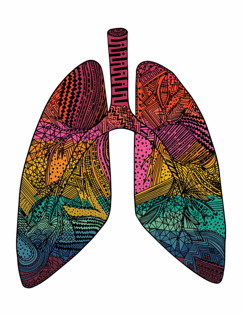 Item #28824502245252267217549902857601847351510039266873569823091148287672737333249 Media