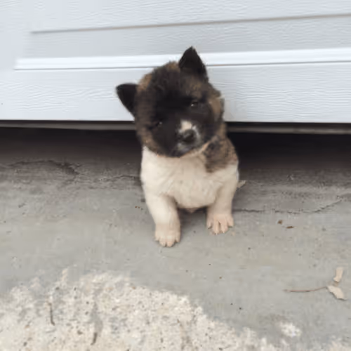 Untitled Collection #107133953