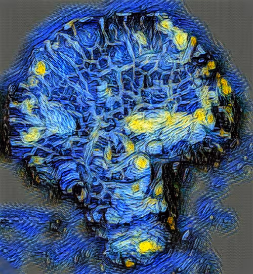 Item #80050559332347163335601971796963442430023304175303914027877321163755504009316 Media