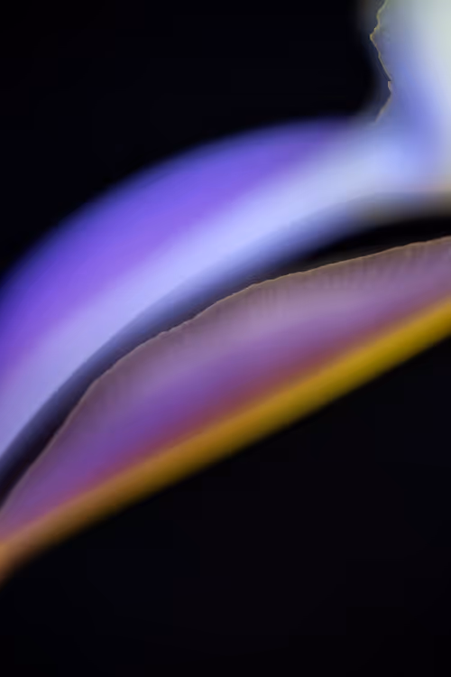 Item #24632583837492670092599633934589483131746797002802219579488358145934078509057 Media