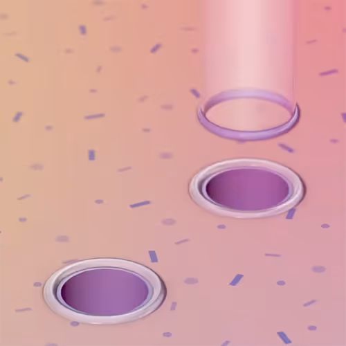 Item #38813088466266392316682748103901692114630706058851608020286404279402529554433 Media