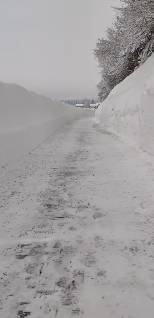 Item #88353325740892022603979579663228138712443640373110526023367119864635720728577 Media