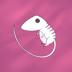 16970820981724833139292597517682300331609410792116564046555164014751975997441