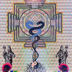 52803421592146788917747273912691954028356282473035812435731413901965736804353