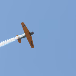 T6 Thunder