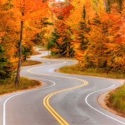 Enjoy the Journey