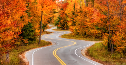 Item #96012126025726909398186429411282779476527200185327796802076911411652393435137 Media