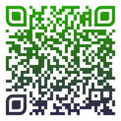 QRCode #28