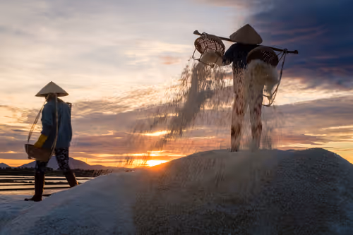 Item #44380994338133063636427405274069008736849147253072084515634940308508467265537 Media