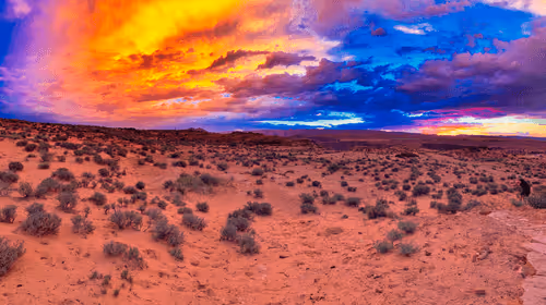 Cotton Candy Desert Dusk