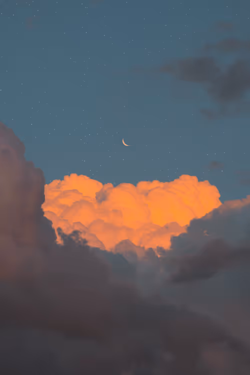 Item #9516099056367242152996622501750151802451978225621664057436231534719283494913 Media