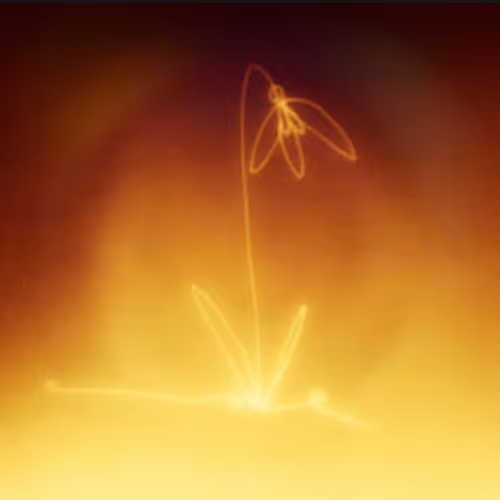 Item #17635803375648012338610213380030160191715370757553255260744606485475554754561 Media