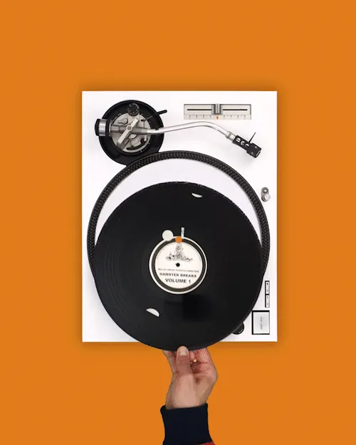 Item #59419360684416734486908059768605667177815651271378515511533460061142411902977 Media