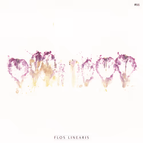 FLOS LINEARIS #66
