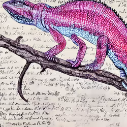 lizard, exhibit one