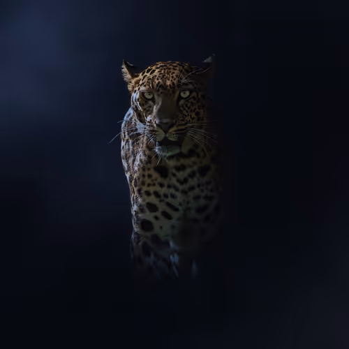 ArvindKarthik Collection - old
