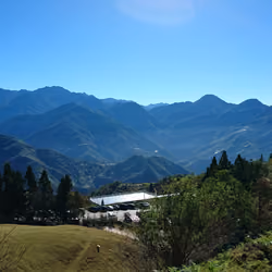 Qingjing Farm -4