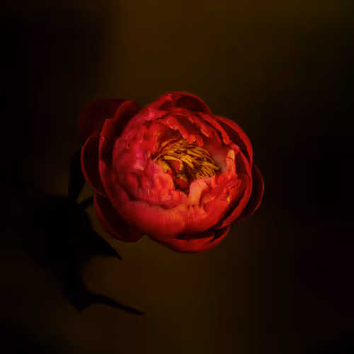 Item #78290859564487950582035157187154512379100989933844946097788898139373085655041 Media