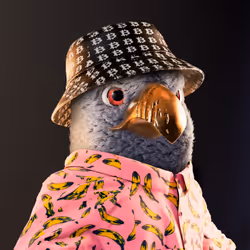 4376362664971565585737253540999175540782146014032197755264946398373324259329