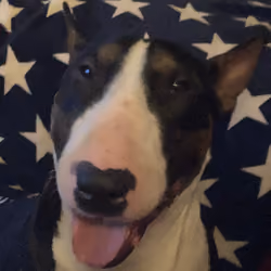 Odins face