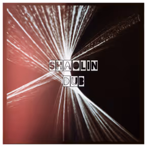 illumanbeing Collection