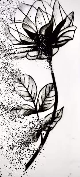 Item #49633588584210191877827495889317389867919894257415323440476020793180677996545 Media