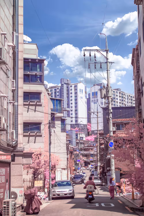 Item #51038767389134457626930617169090287934471579480777975785156342573308848373790 Media