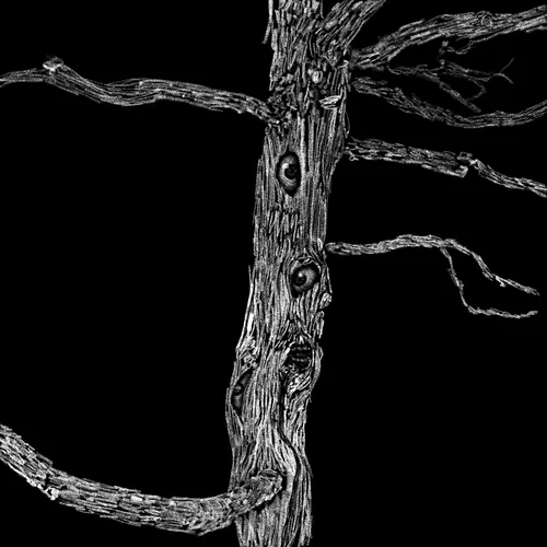 Item #77614511146470264358960422071308590595865824285225743465306556840075130306561 Media