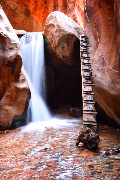 Item #101131428219737421258905358447066100782642881708767495255193714672789775974401 Media