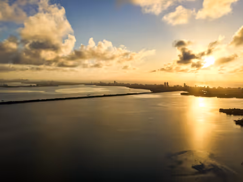 Item #13336409770614763797577425871740572581515837587158292676626682581264803823666 Media